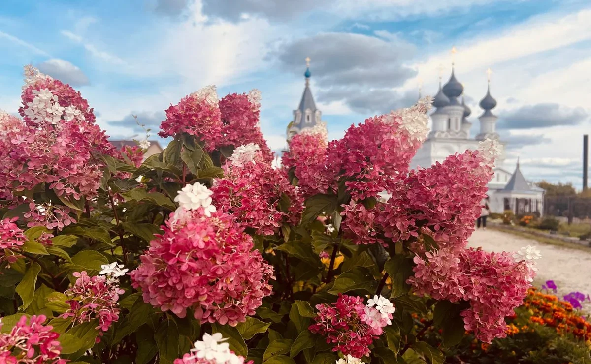 москва секс проститутки уличные, секс мамочки, секс без перерыва mp3, уроки секса, онанизм фотки,